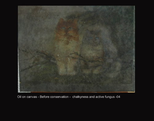 Oil on canvas - Before conservation -  chalkyness and active fungus